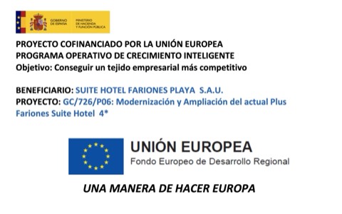 Subvenciones y ayudas públicas