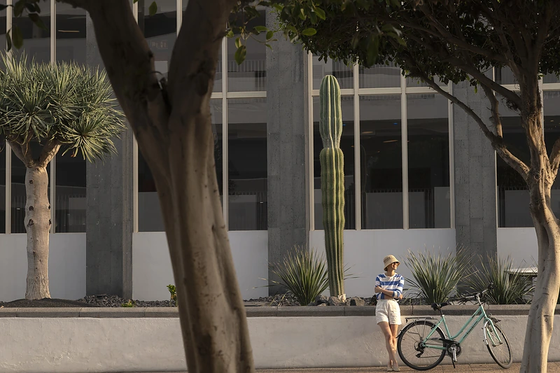 Alquiler de bicicletas